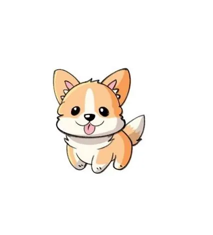 A corgi looking up